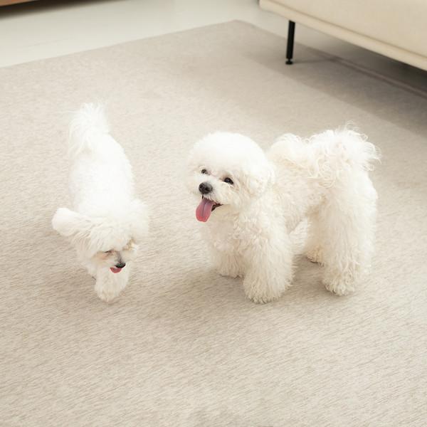 [반값특가] 미끄럼방지/생활방수 릴리브 밤비 이지케어 러그(8/21 월 밤 12시 종료)