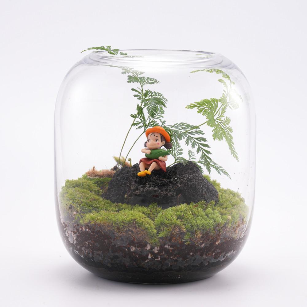 풀레뜨 관리가 필요없는 이끼 테라리움 DIY 키트 비바리움 플랜테리어