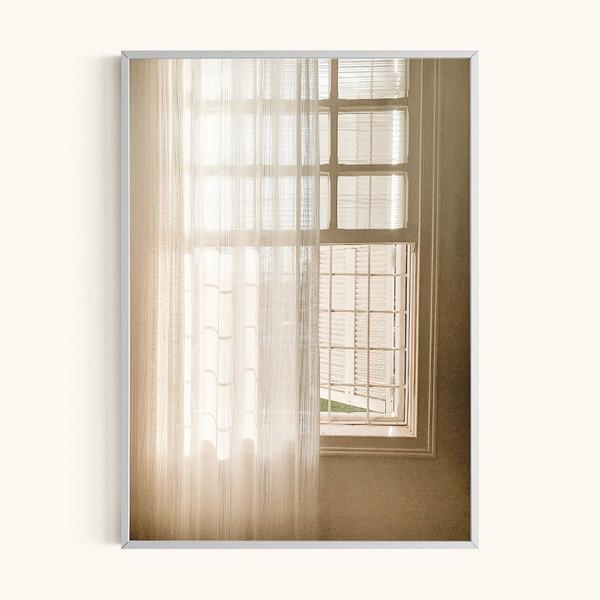 Window