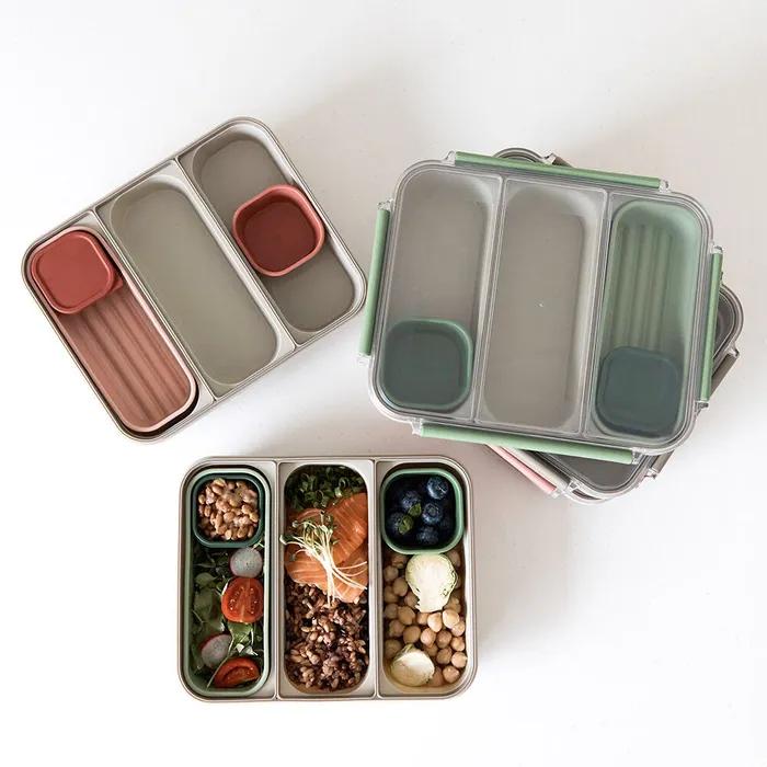 [29CM단독]샐마X정희원박사 도시락 런치박스 3color