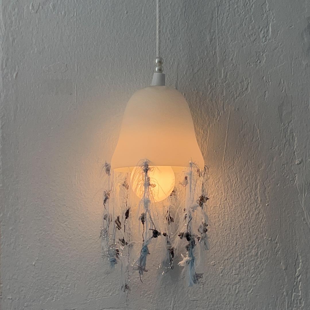 젤리피시 라이트