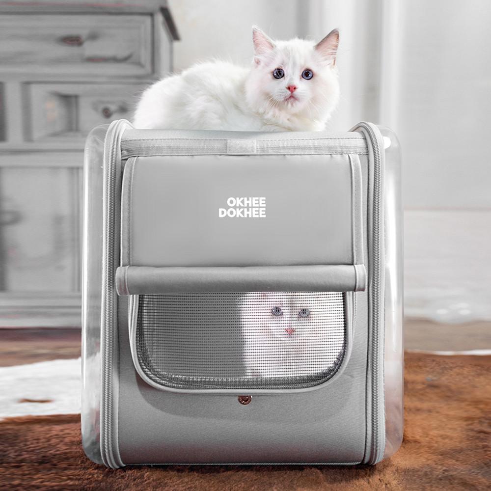옥희독희 네모백팩 투명 고양이이동장 강아지가방