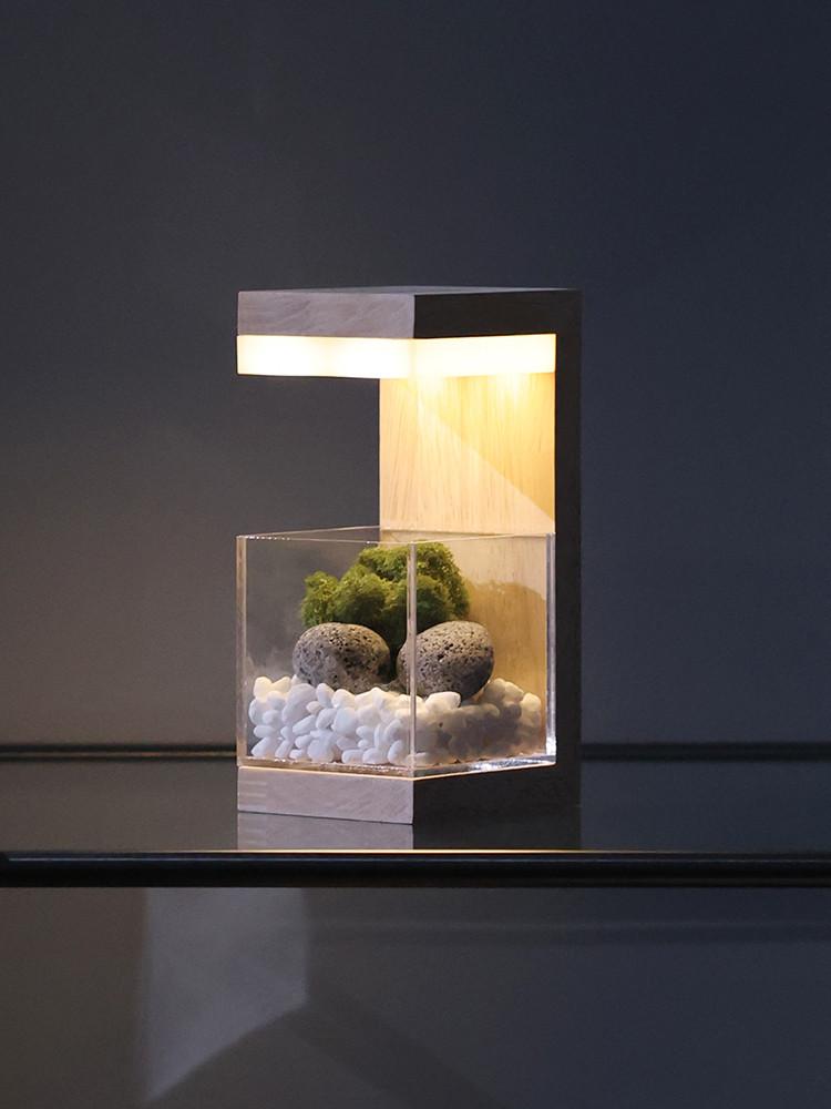 원목 무선 충전식 플랜테리어 식물 무드등 LED 집들이 선물