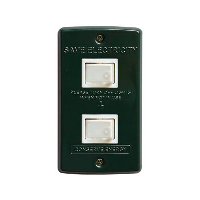 AWS vintage switch plate_2구 green