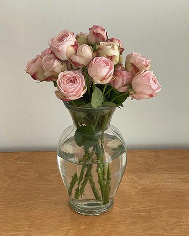 masion vase