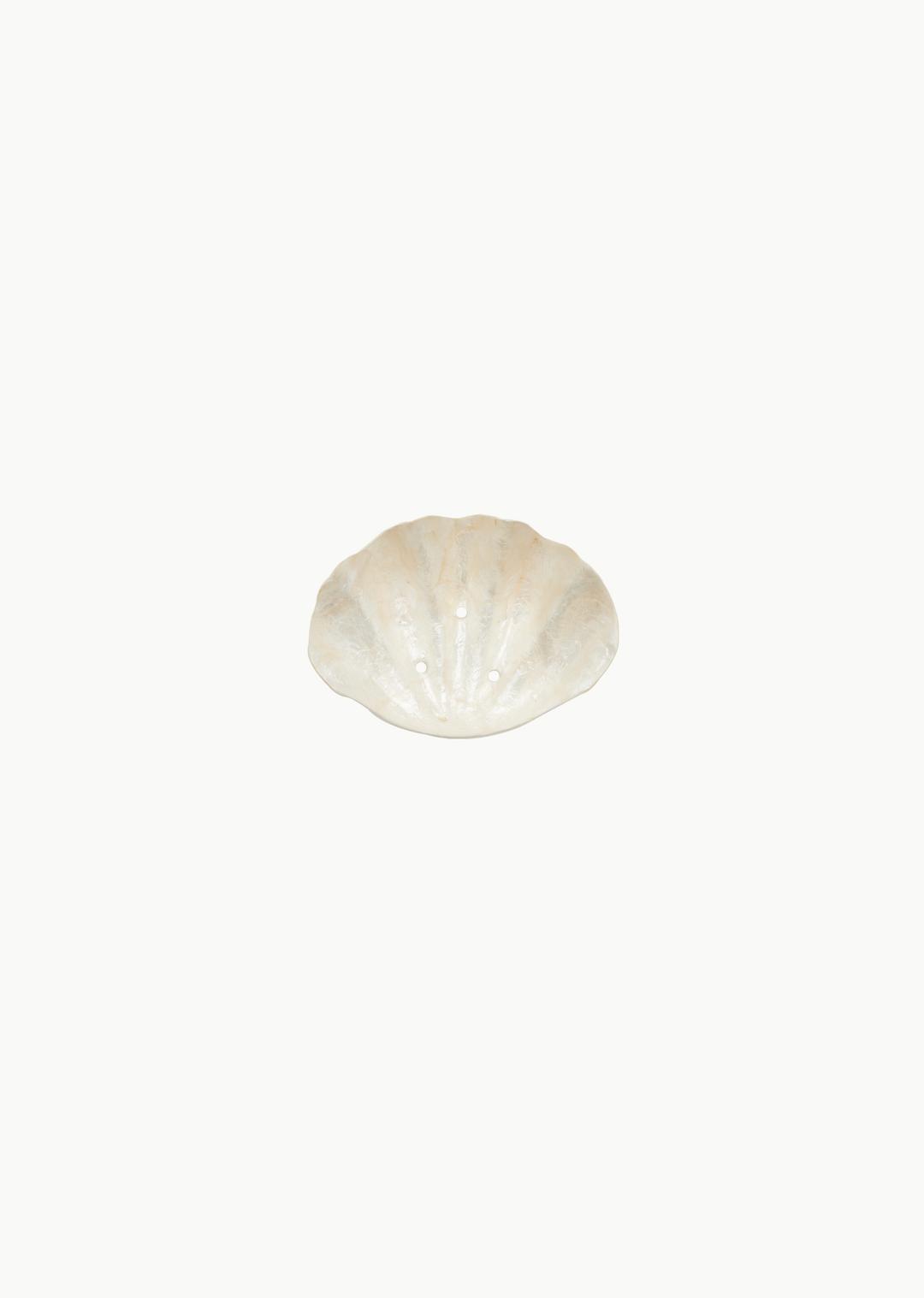 shell soap dish, Ivory