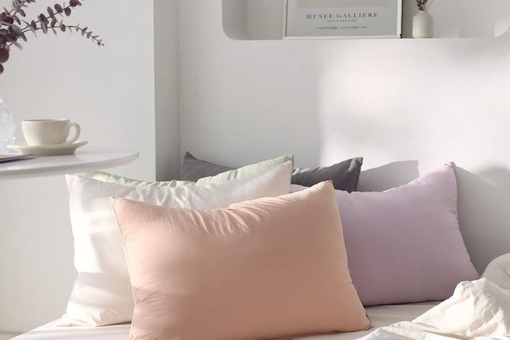 노더스트 스윗 베개커버 5color