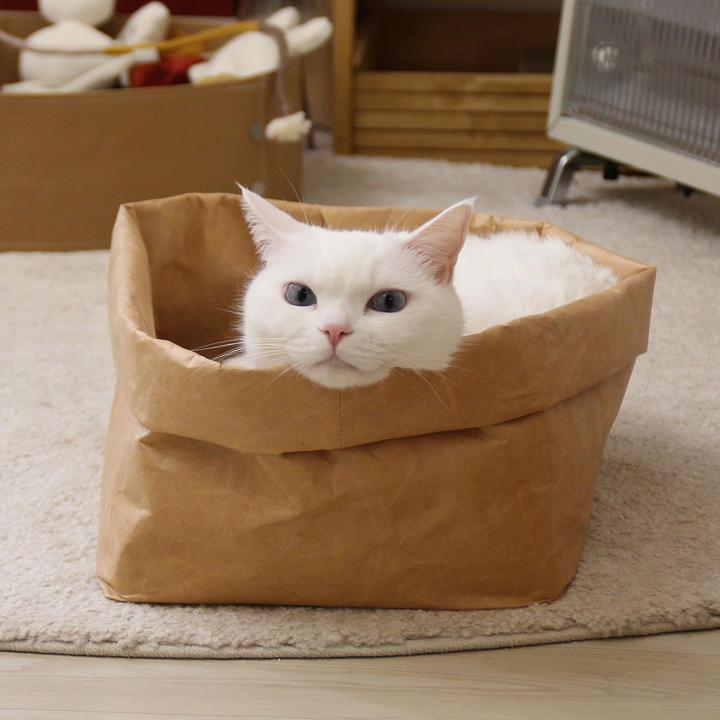 집에가야돼 타이벡 빵봉투 바스켓