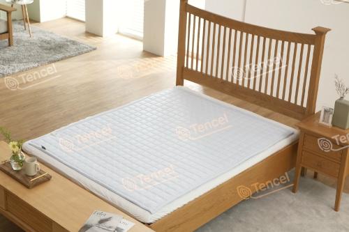 23년형! 런칭특가 일월 프리미엄 텐셀 전기 카본 탄소매트(Tencel)