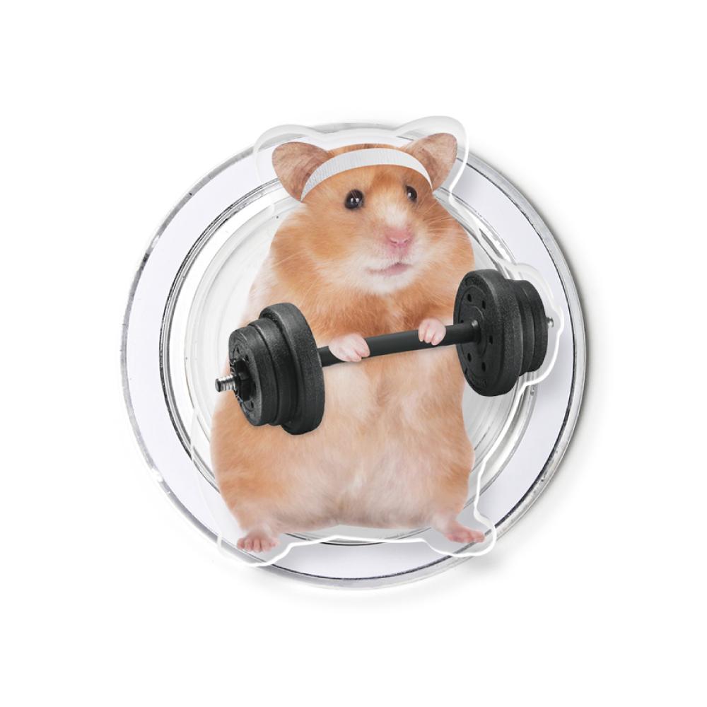 맥세이프톡 햄린이.G