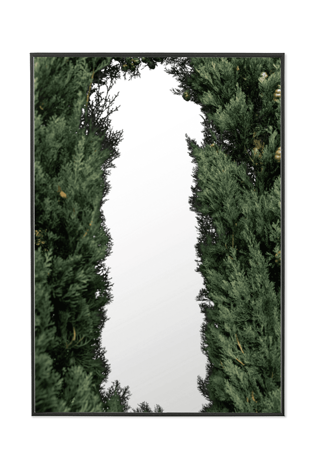 [poster mirror] - forest #2- 5차 재입고