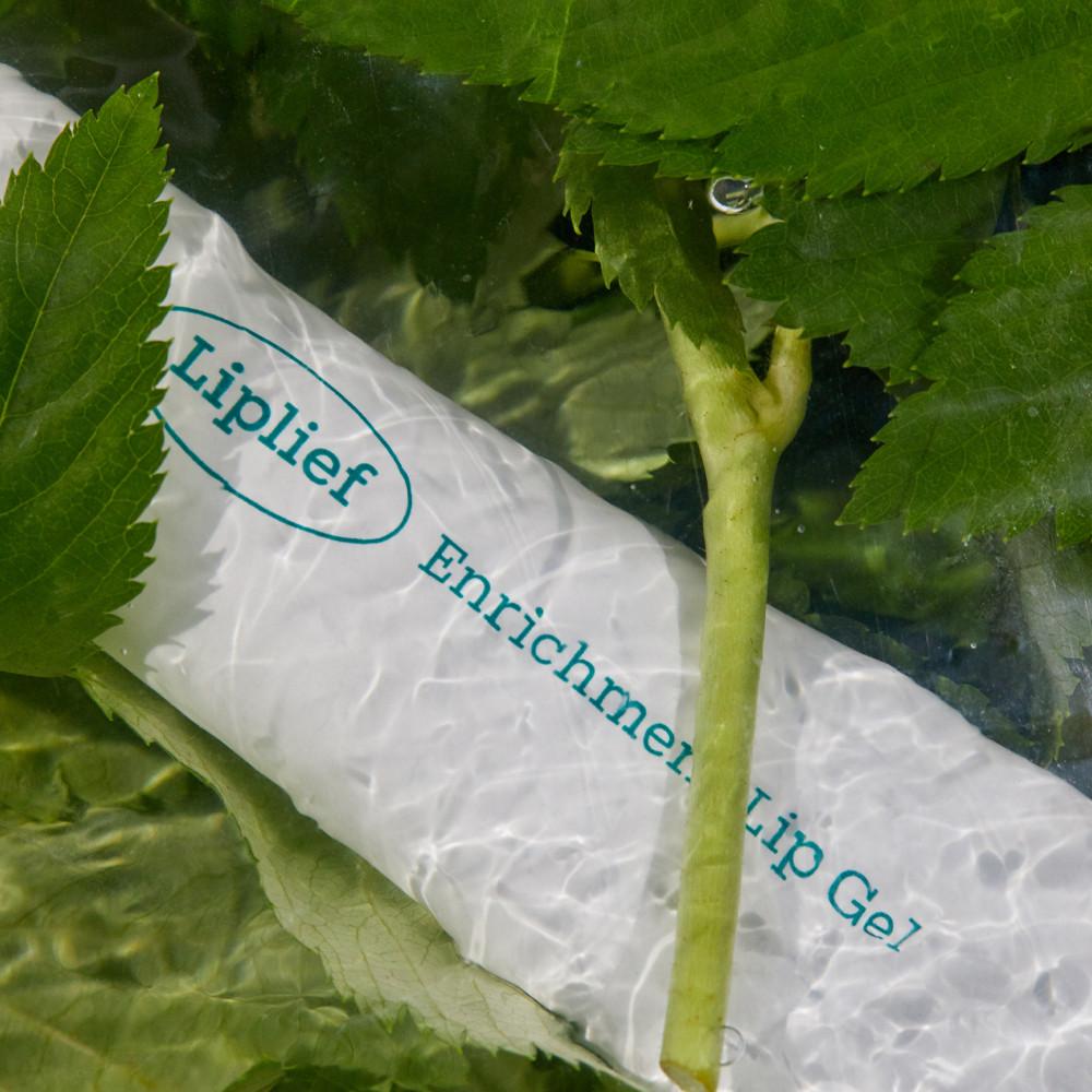 NEW 립리프 인리치먼트 립 겔 13g