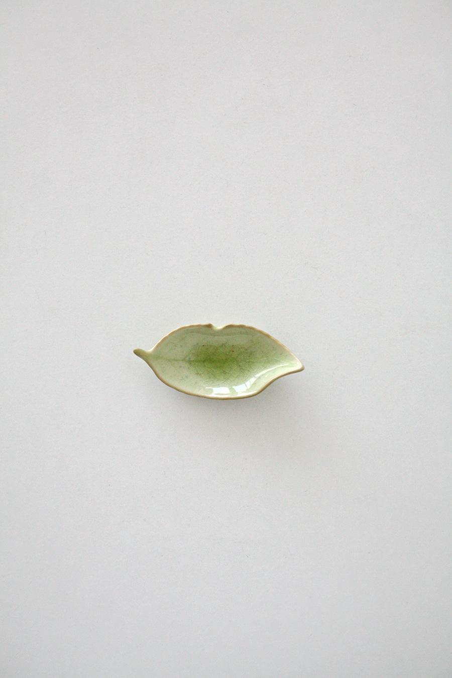 Plate of green leaves