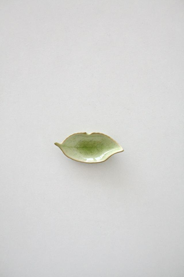 Plate of green leaves