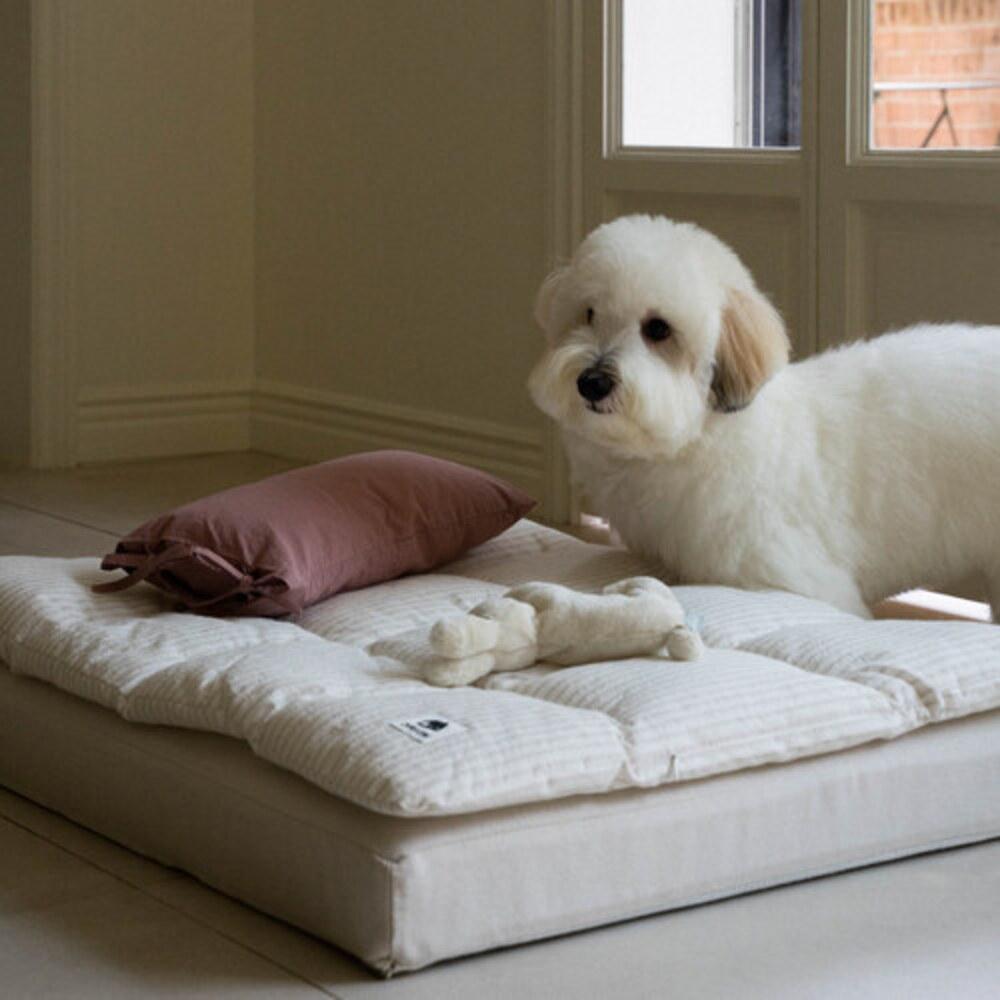 Square Bedding Set / Mallow Pink Stripe