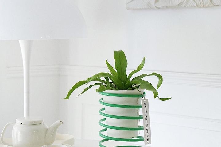 [해외] 모던 스프링 화분거치대 다육이 인테리어 진열대