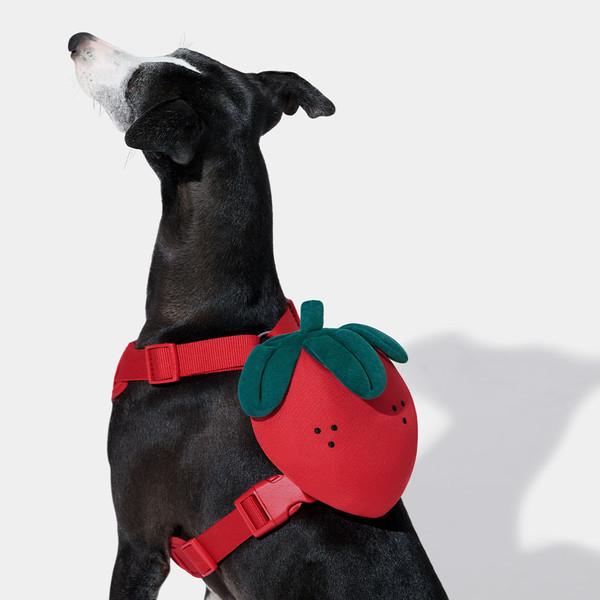 🍓딸기 백팩 하네스 세트 (배낭+하네스+리드줄) (XXS~L 5 size) [소형견부터 대형견까지]