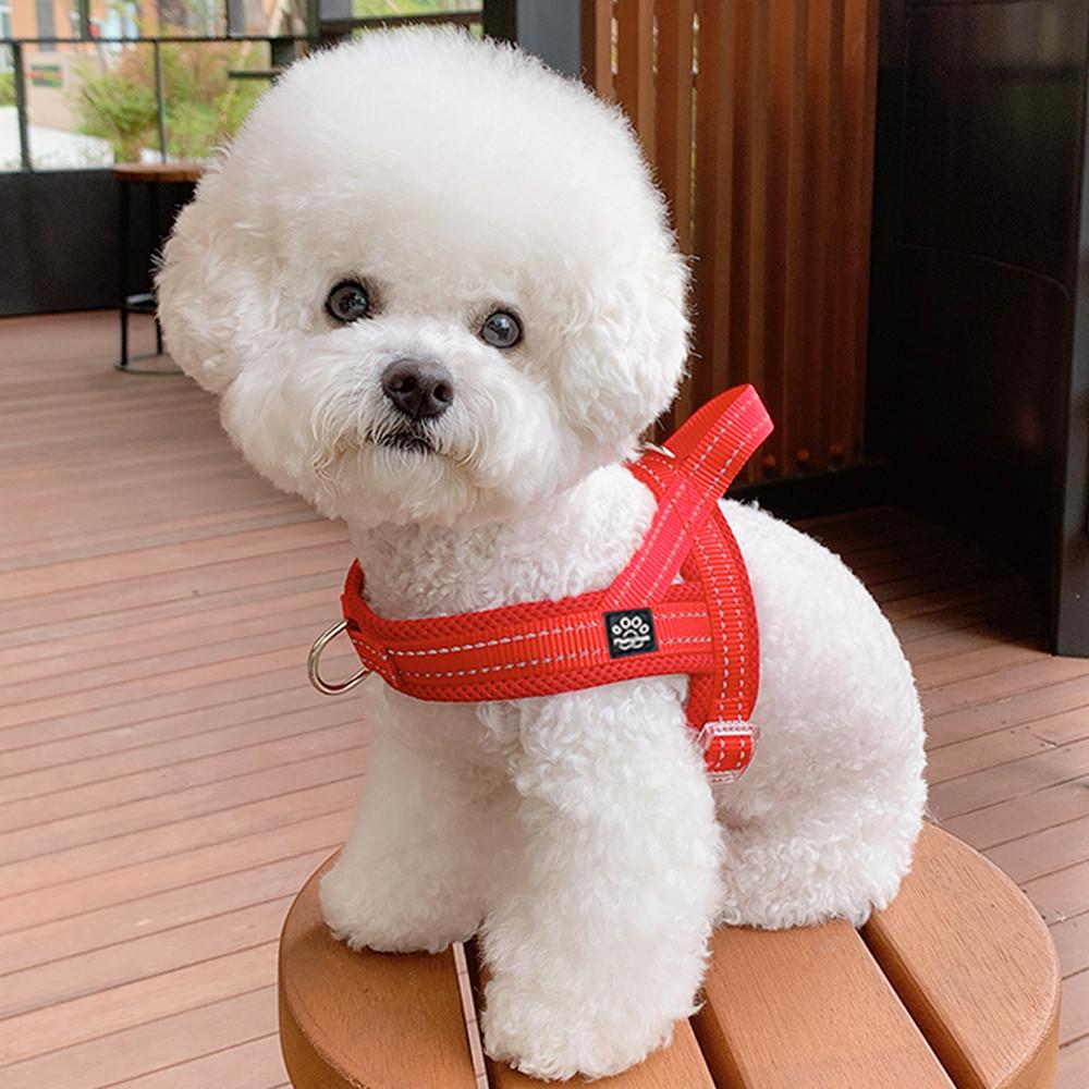강아지 하네스 앞섬방지 앞고리 가슴줄 대형견 소형견 중형견 새끼
