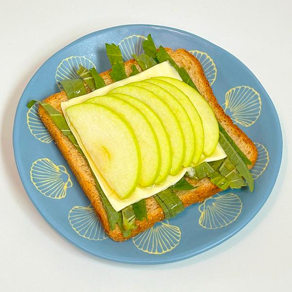 shell plate. 02 (matt)