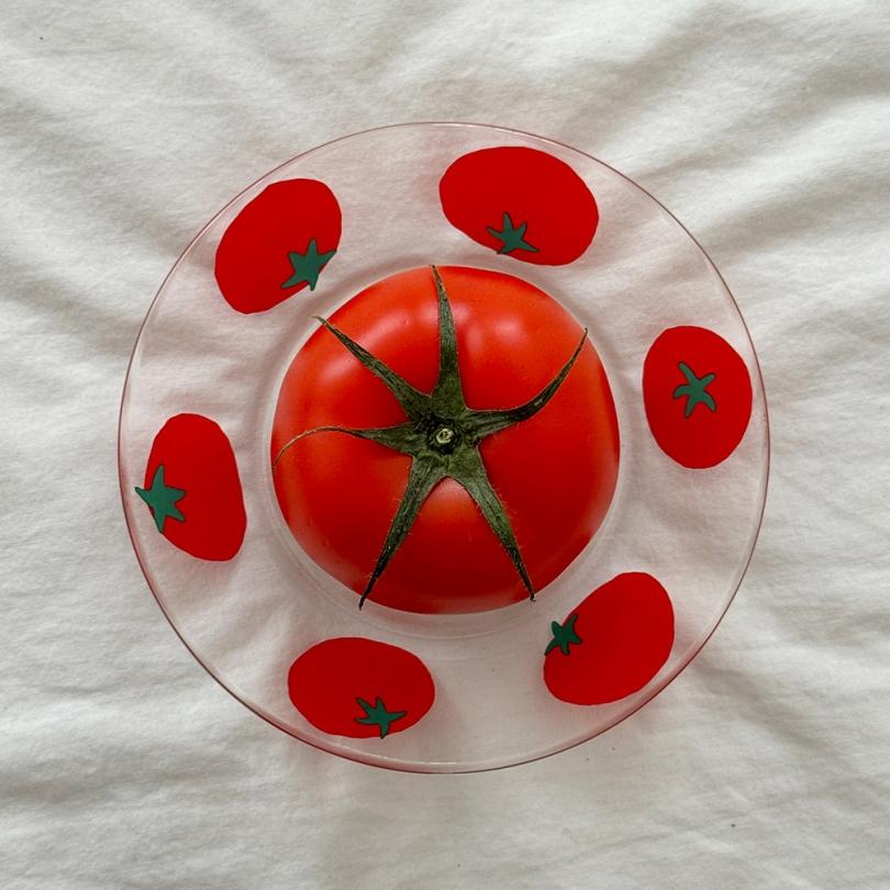 [마이페이보릿 런칭 5% 할인] 토토토마토 디쉬🍅