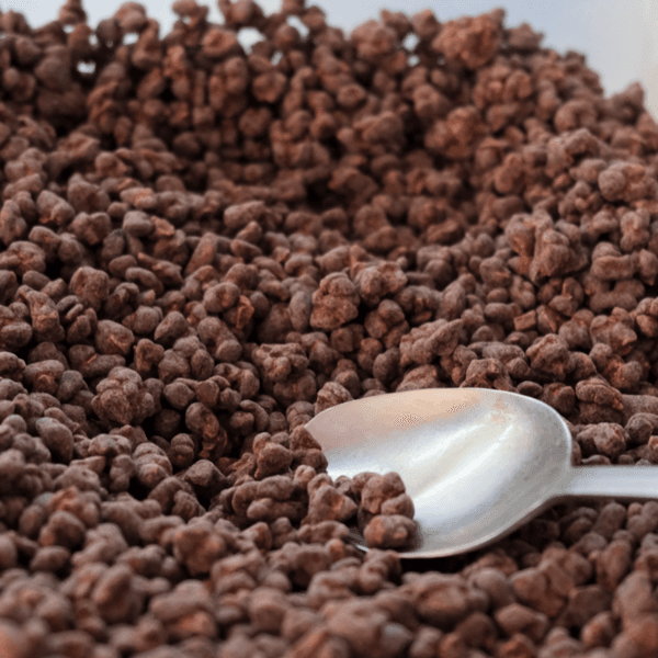 카카오캐비어 ( Nibs+Chocolates )