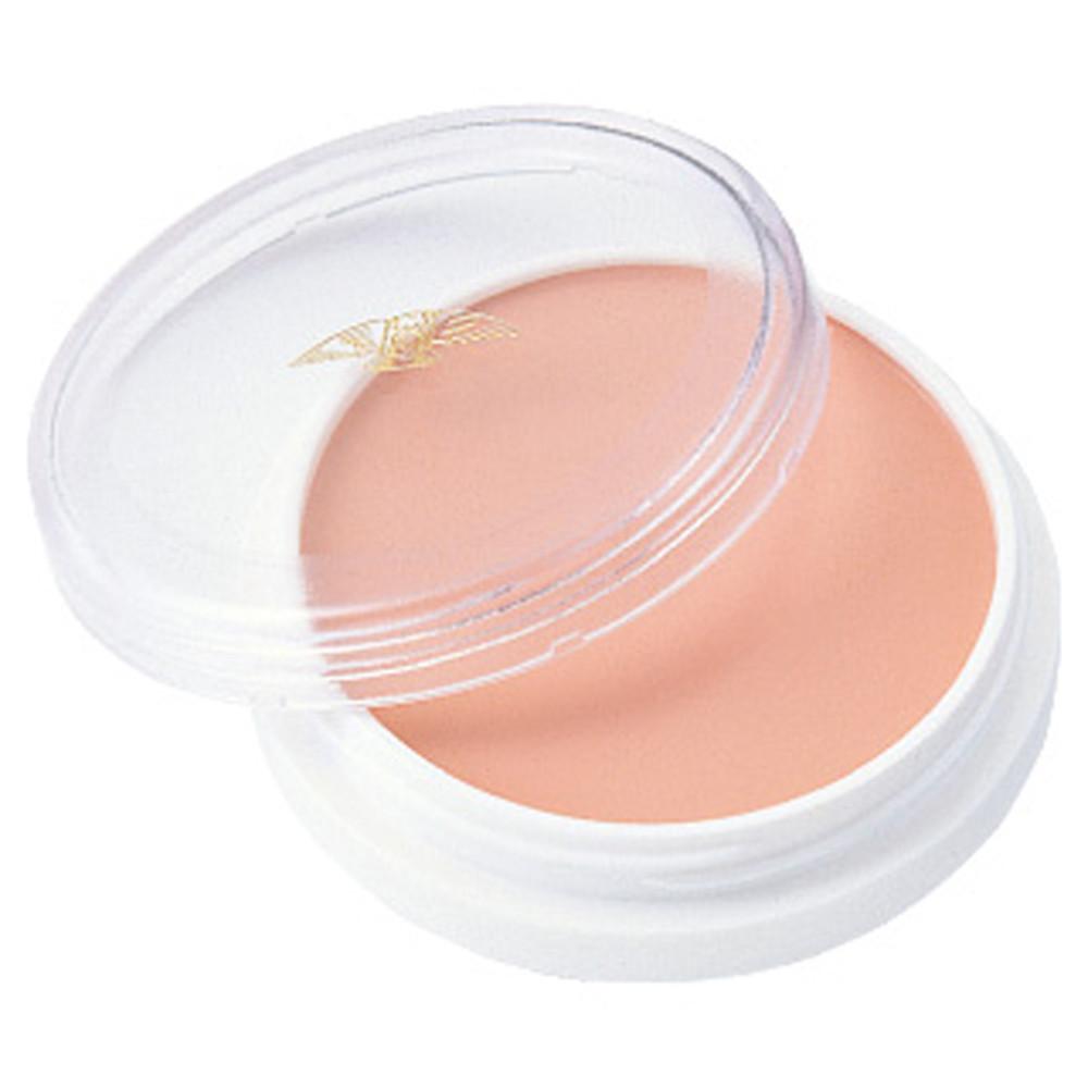 미쯔요시 그리스 페인트 21P 다크서클 수지 컨실러