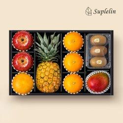 [수플린] 프리미엄 혼합과일 9입 선물세트(키위,애플망고) 총 4.4kg 내외