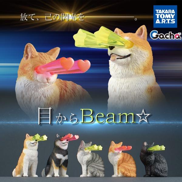 눈에서 Beam☆ 동물 미니 피규어 가챠
