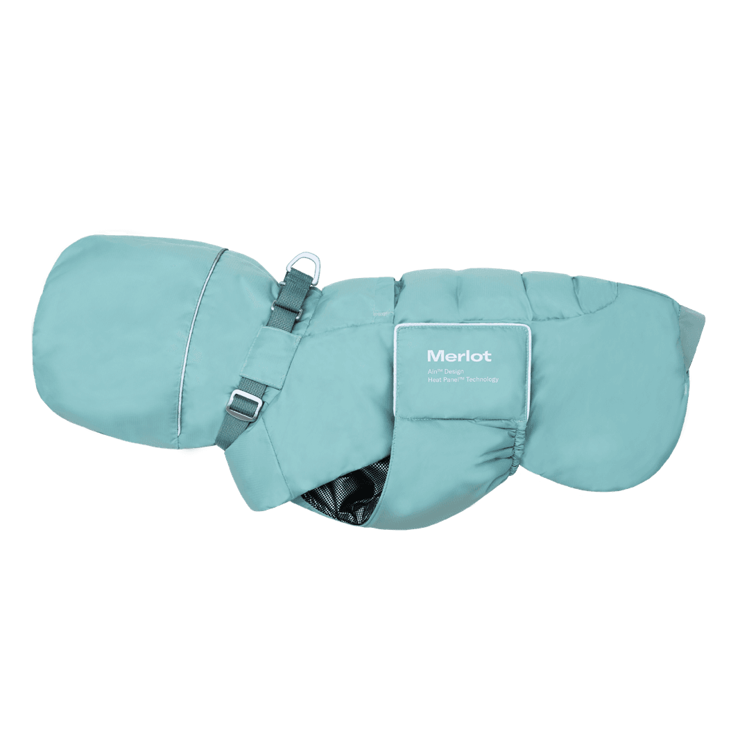 Ain™ Puffer Forest