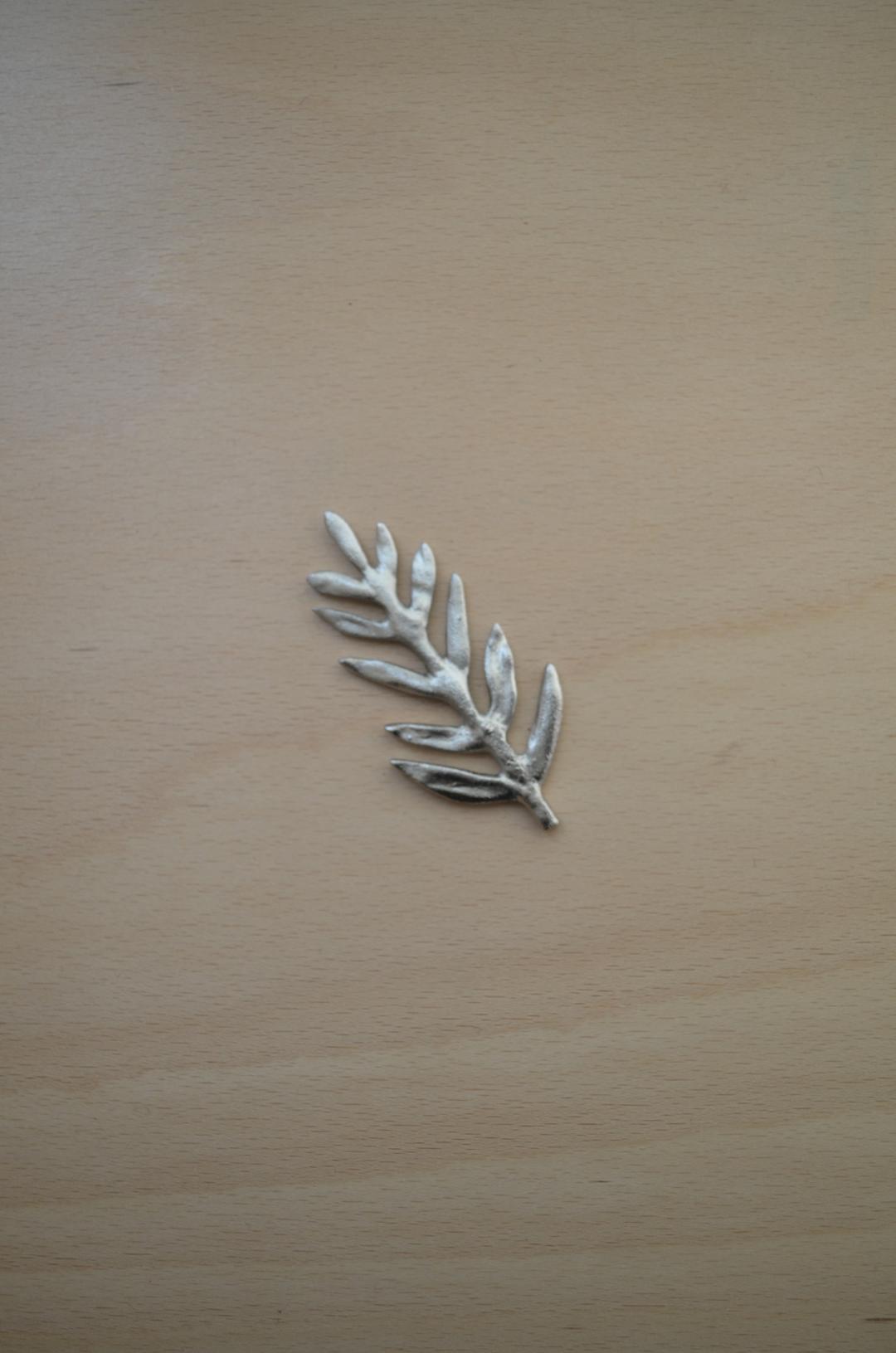 santolina leaf (3TYPES)