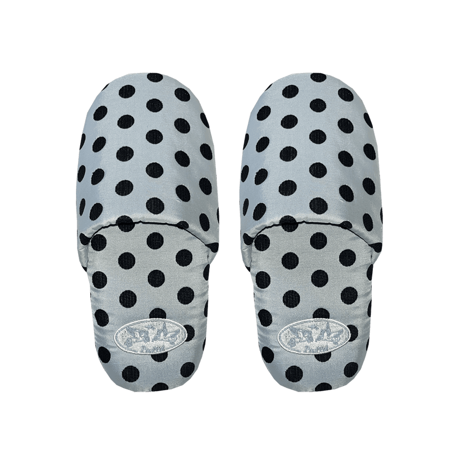 Cutie Dot Room Shoes - Silver Blue