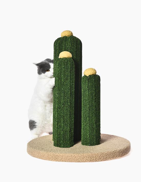 [도보보] 고양이 선인장 스크래쳐 캣타워