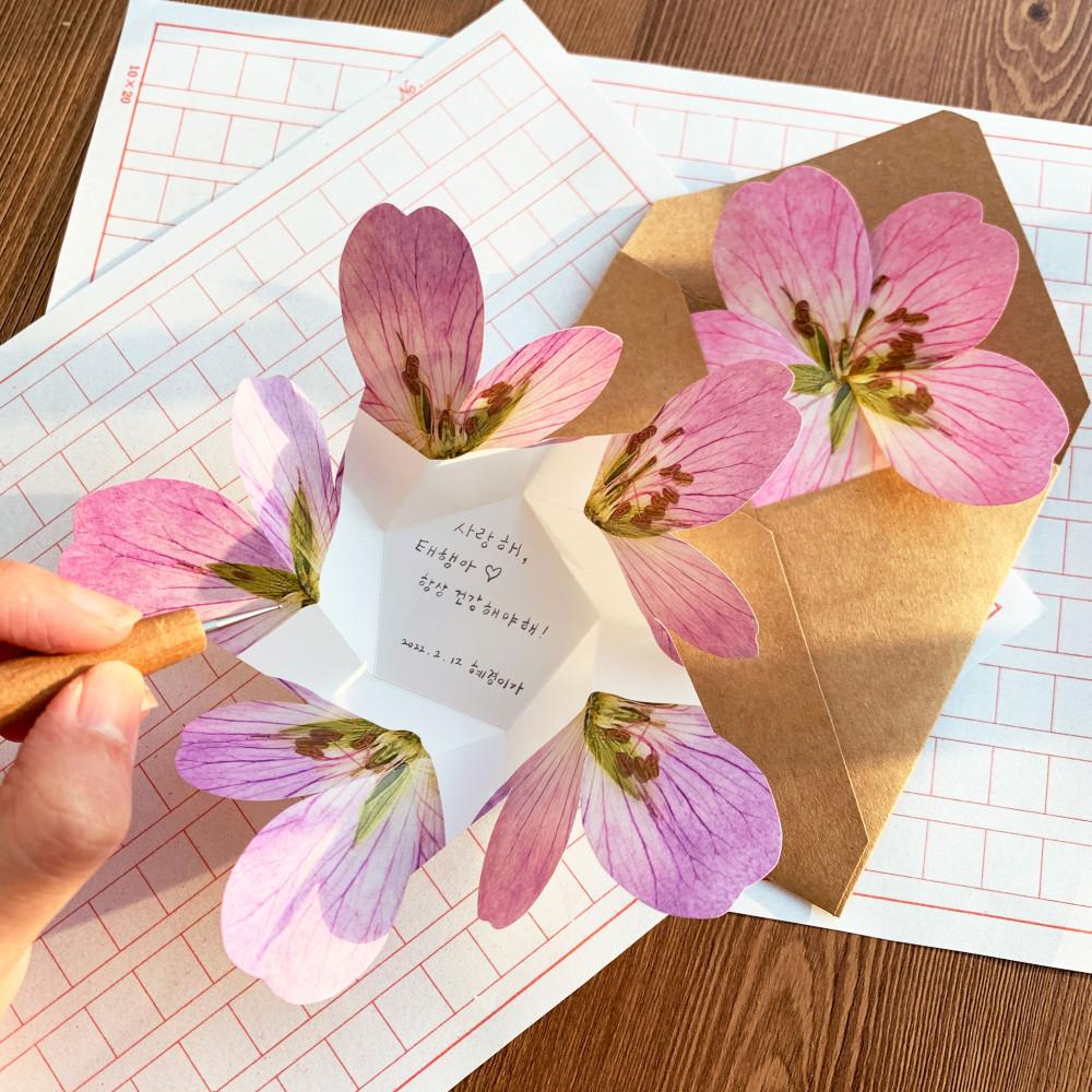 입체편지지 압화편지 1주년편지 예단편지 제라늄