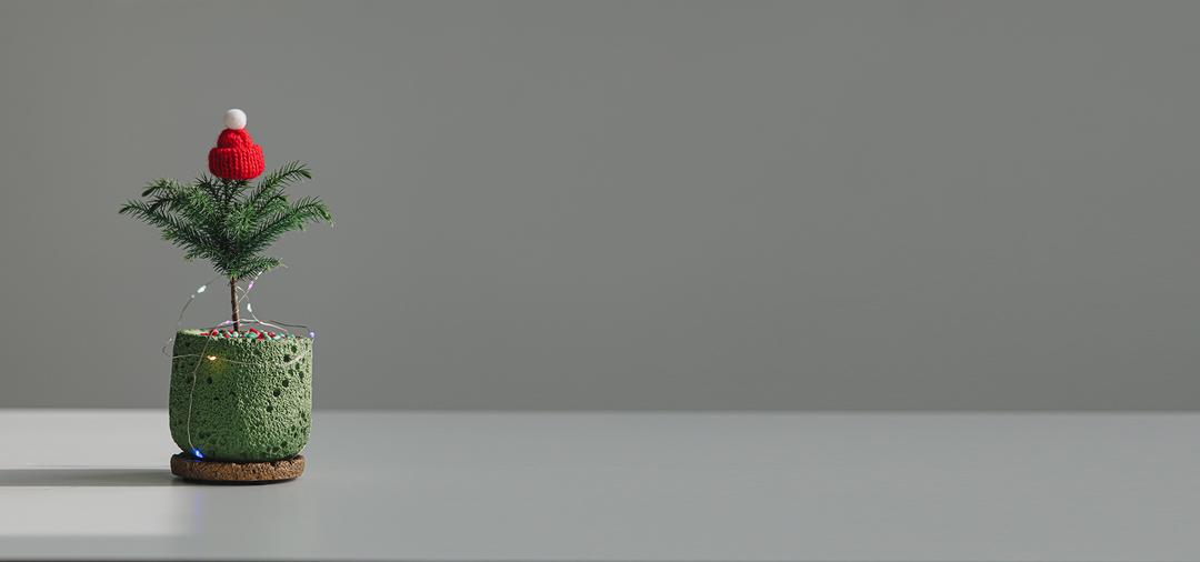 아라우카리아 크리스마스트리 Everyday Christmas