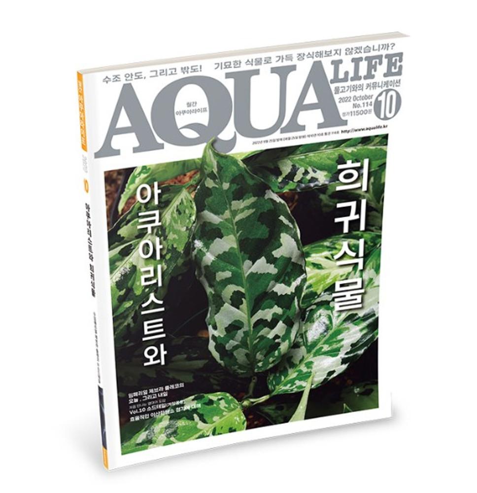 테라리움 팔루다리움 식물 희귀식물 전문서적  (2022년 10월호 - 아쿠아리스트와 희귀식물)