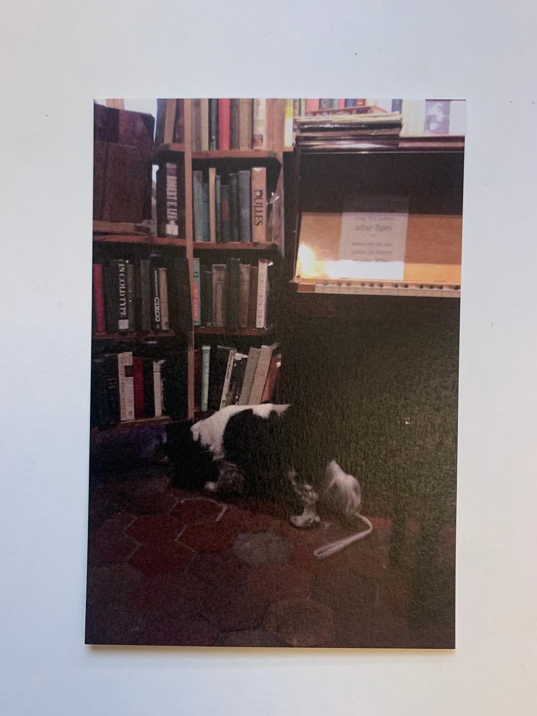 Bibliothèque Post Card