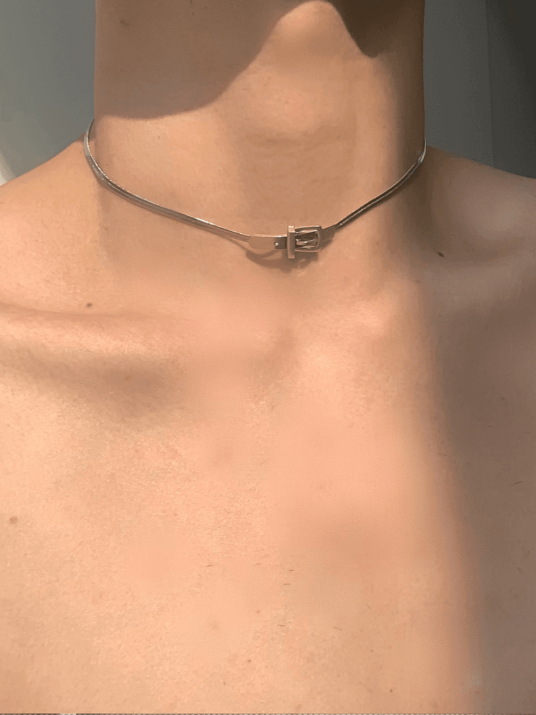 lose snake bone necklace na1291