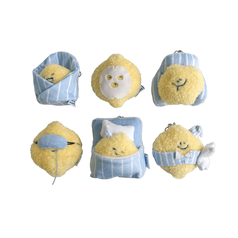 time to sleep 레모니 블라인드 박스