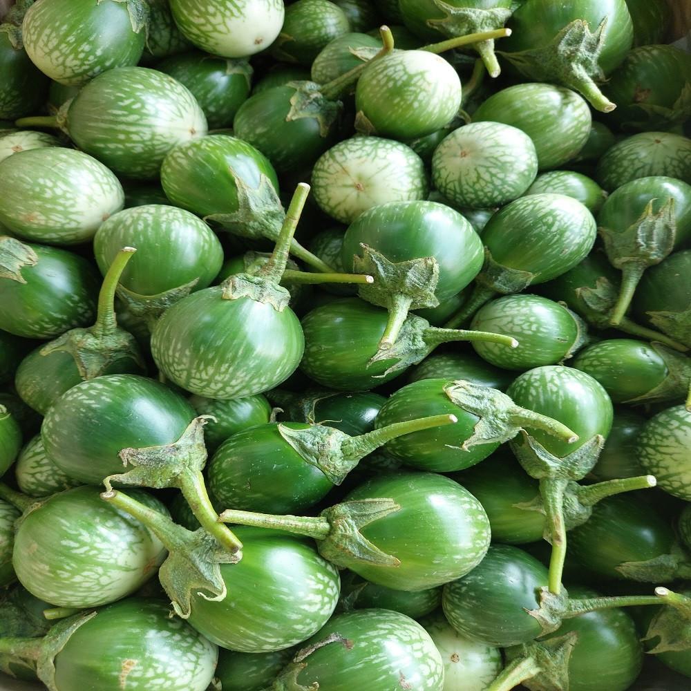 태국가지 500G 커밋가지 Kermit Eggplant 마크아