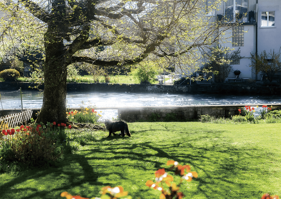 [New] 그녀의 정원