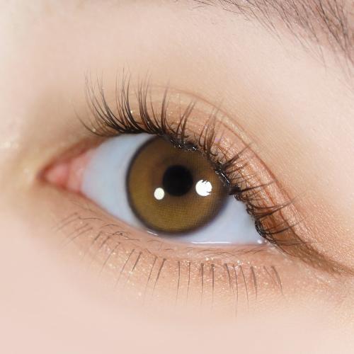 유리알 로얄 브라운