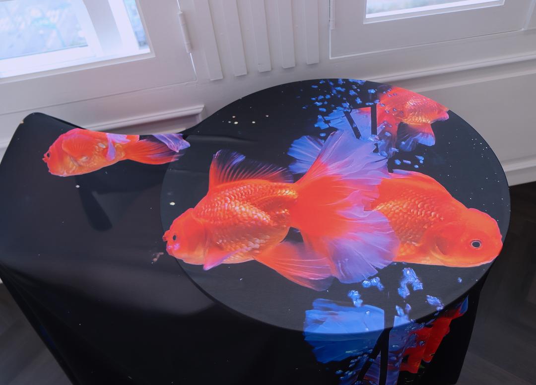 프로젝트 온도 쉬폰 패브릭 포스터 / 금붕어 (대형) - 위시버킷