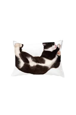 [11월4일 순차발송] sleep cat pillow cover