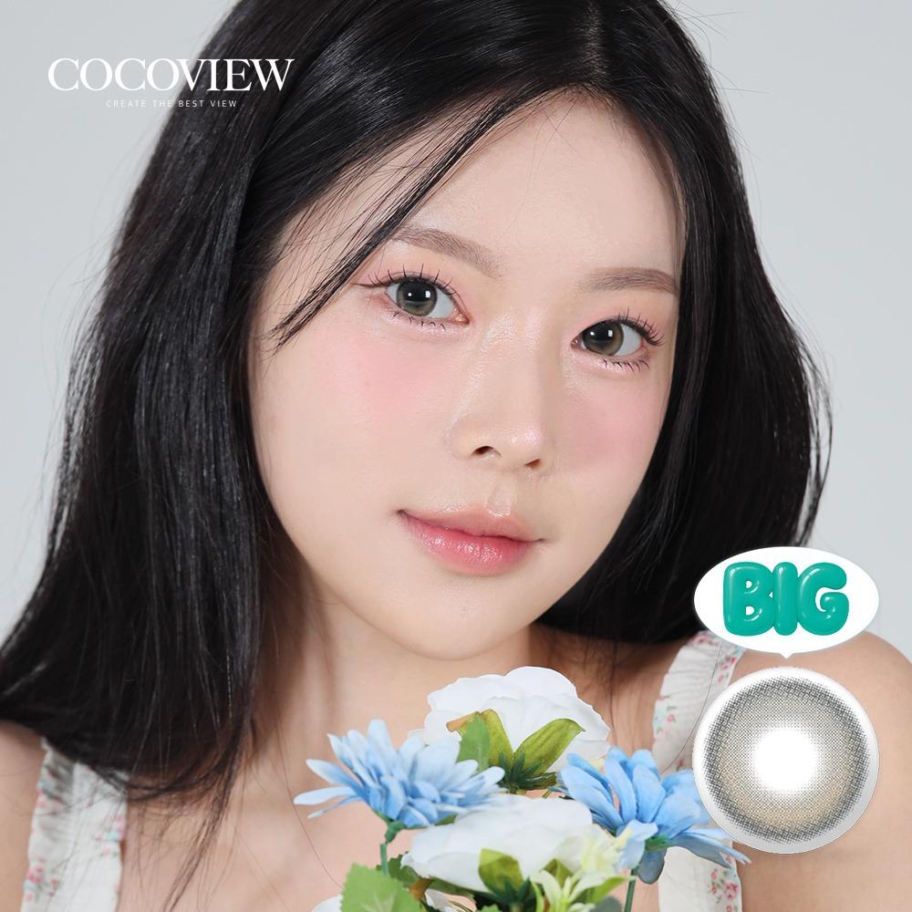 모브 축고정 브라운