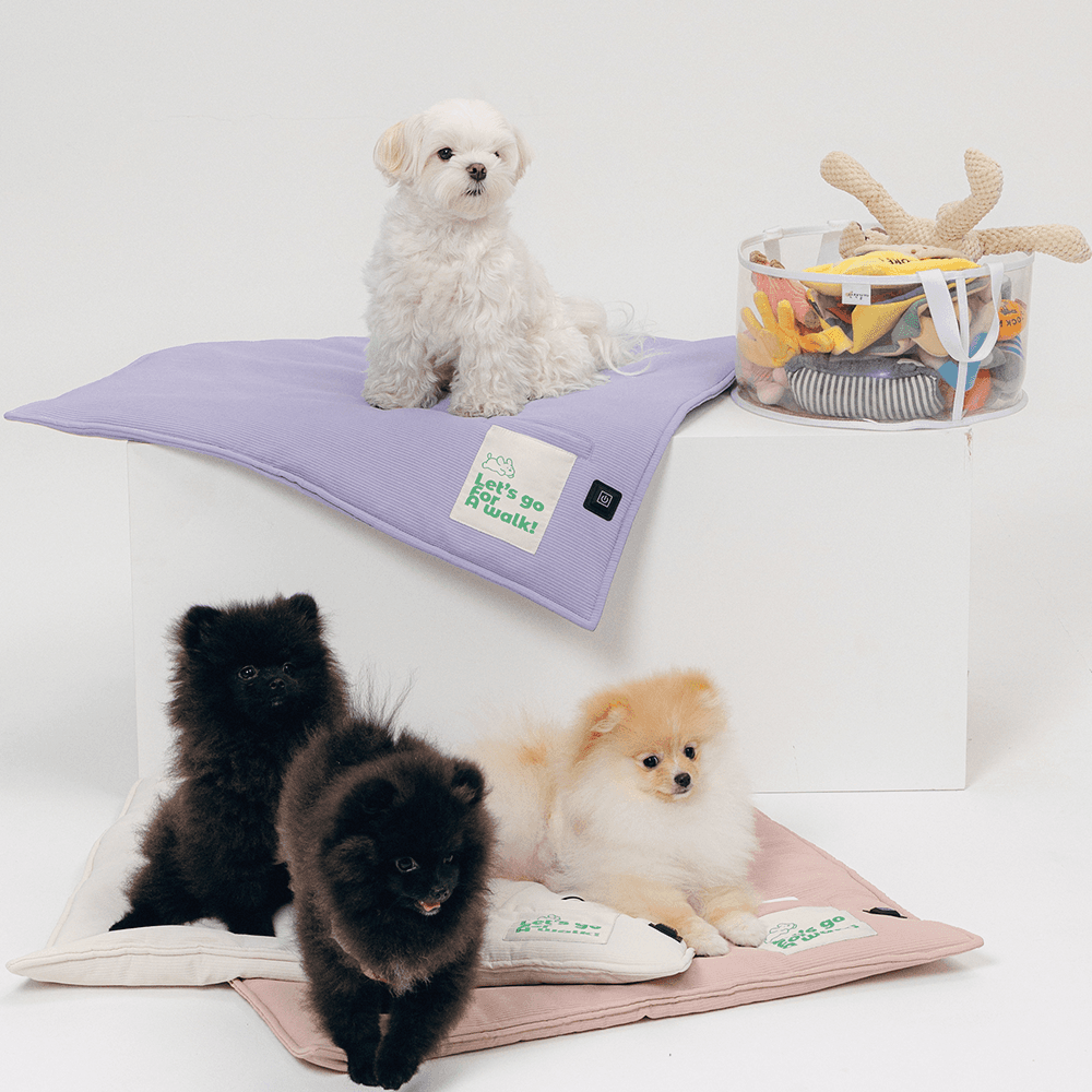 산책갈까 뜨뜨방석