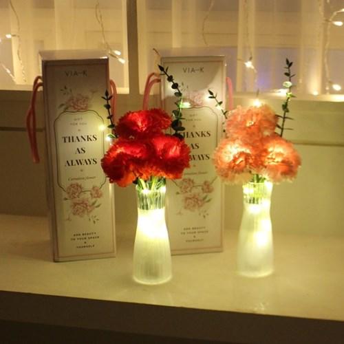 디어블라썸 카네이션 LED 무드등_2color