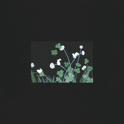 사이새사이 토끼풀