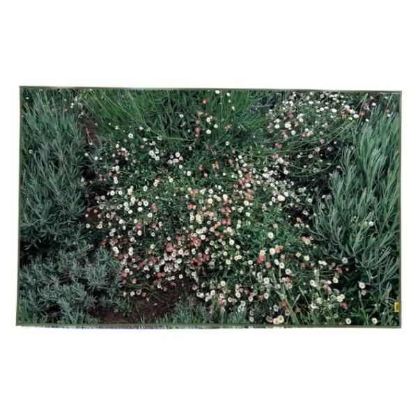 [대형사이즈 4월 12일 순차출고]Flower garden, landscape rug