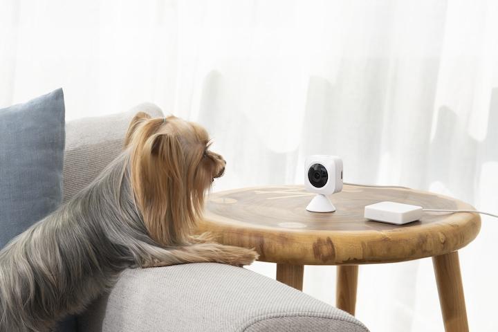 스위치봇 스마트 홈카메라 CCTV 홈캠 베이비캠 팻캠 IP카메라