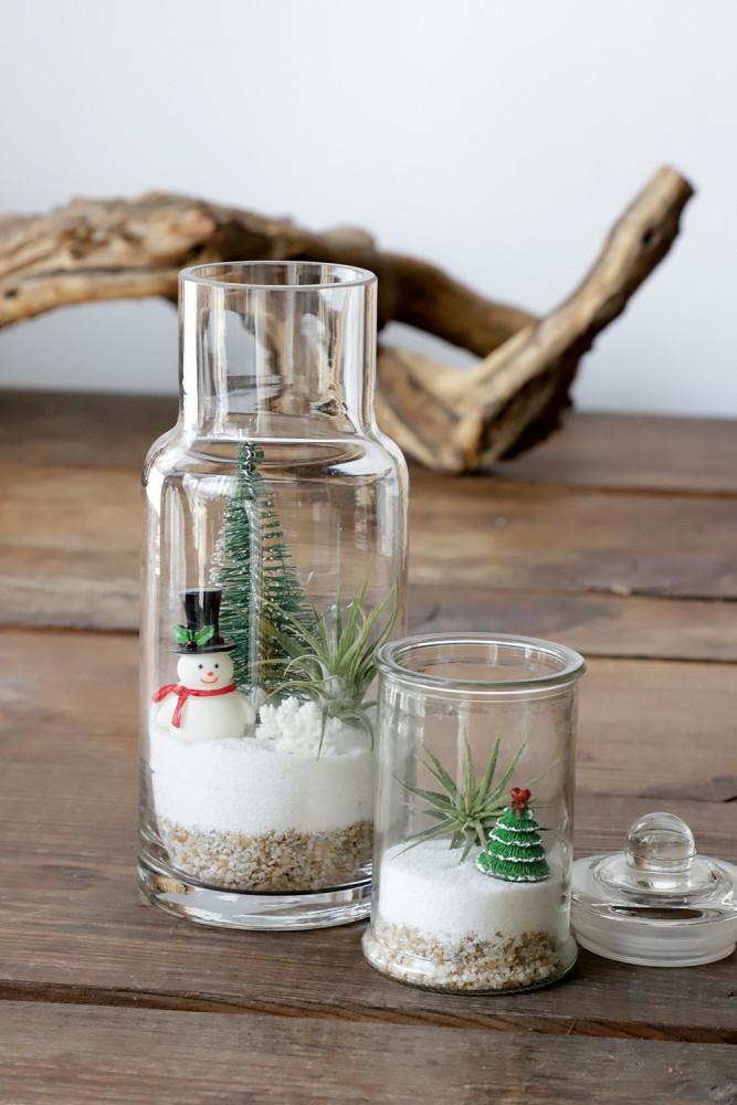 겨울에어울리는 틸란드시아 유리 테라리움 DIY키트 선물 실내공기정화식물 크리스마스 북극곰